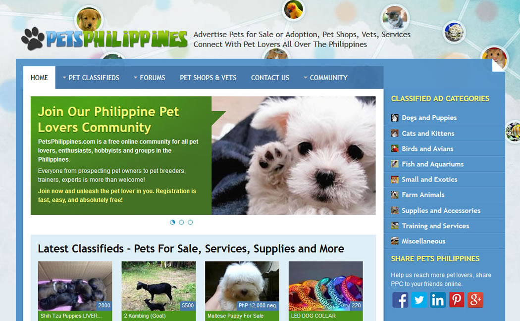 Pets Philippines